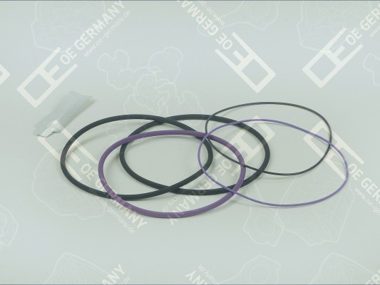 030111162000, O-Ring Set, cylinder sleeve, OE Germany, 270935-0, 271118-2